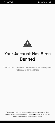 Tinder Deleted My Account - banned account