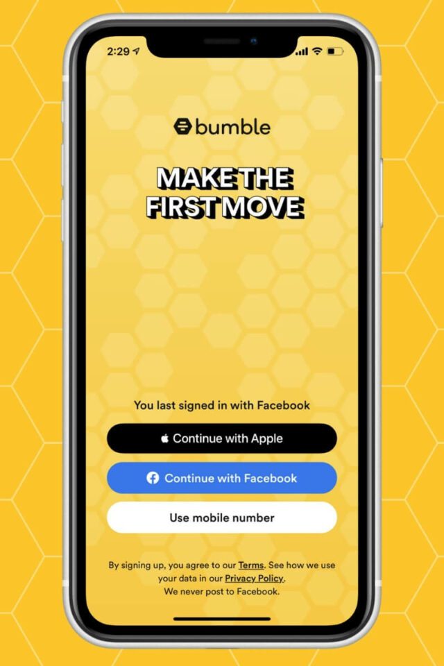 How Does Bumble Work? 2022 Guide For Guys And Girls (With Photos)