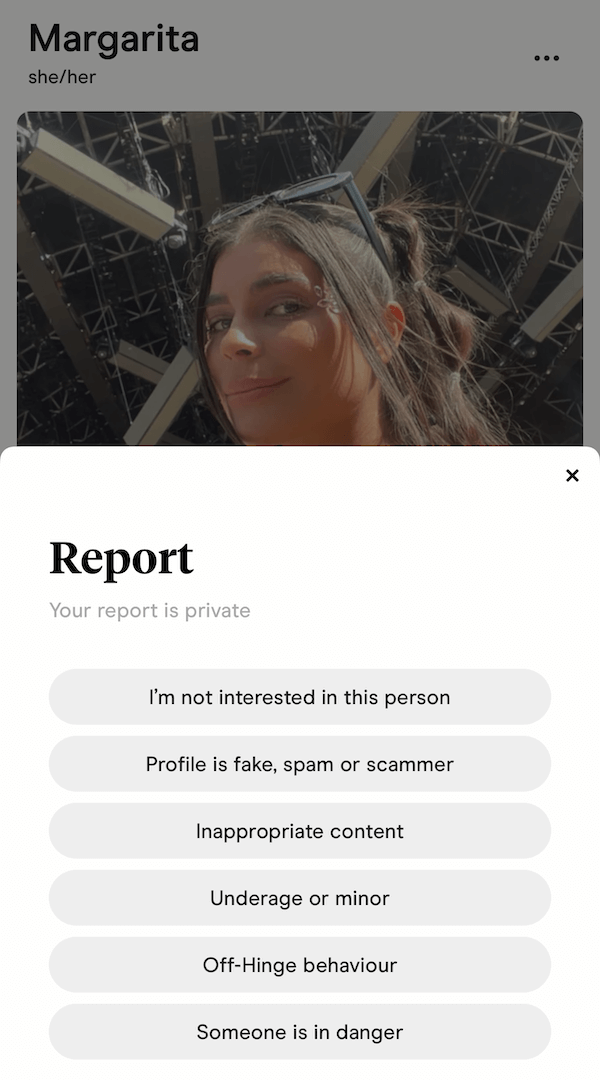 How Does Hinge Work - Report