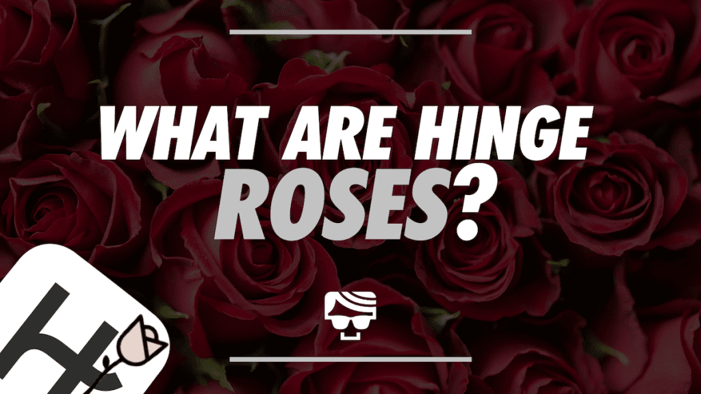 What Is The Rose On Hinge? How Hinge Roses Work In 2023