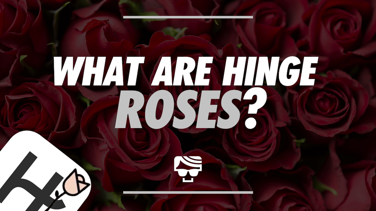 What Is The Rose On Hinge? How Hinge Roses Work In 2022