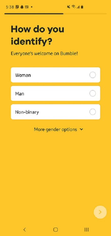 Is Bumble Only For Heterosexuals - choose gender bumble