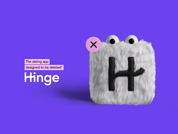 What The Heck Is Hinge - designed to be deleted