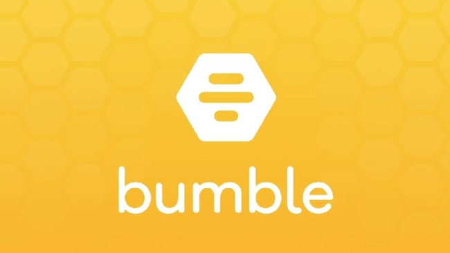 What Do Guys On Bumble See - bumble logo