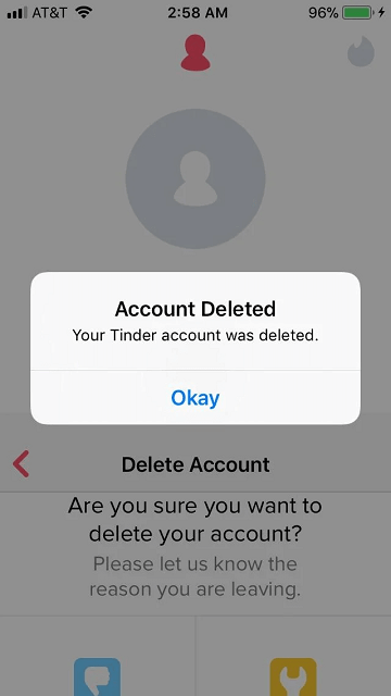 Your ELO Score Explained - deleted tinder account