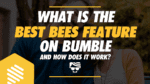 What Is The Best Bees Feature On Bumble